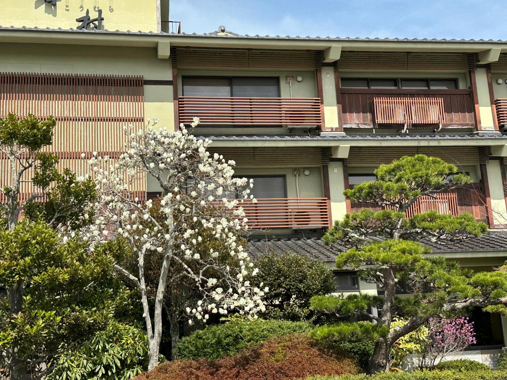 Matsushima Koumura Zewnętrze zdjęcie